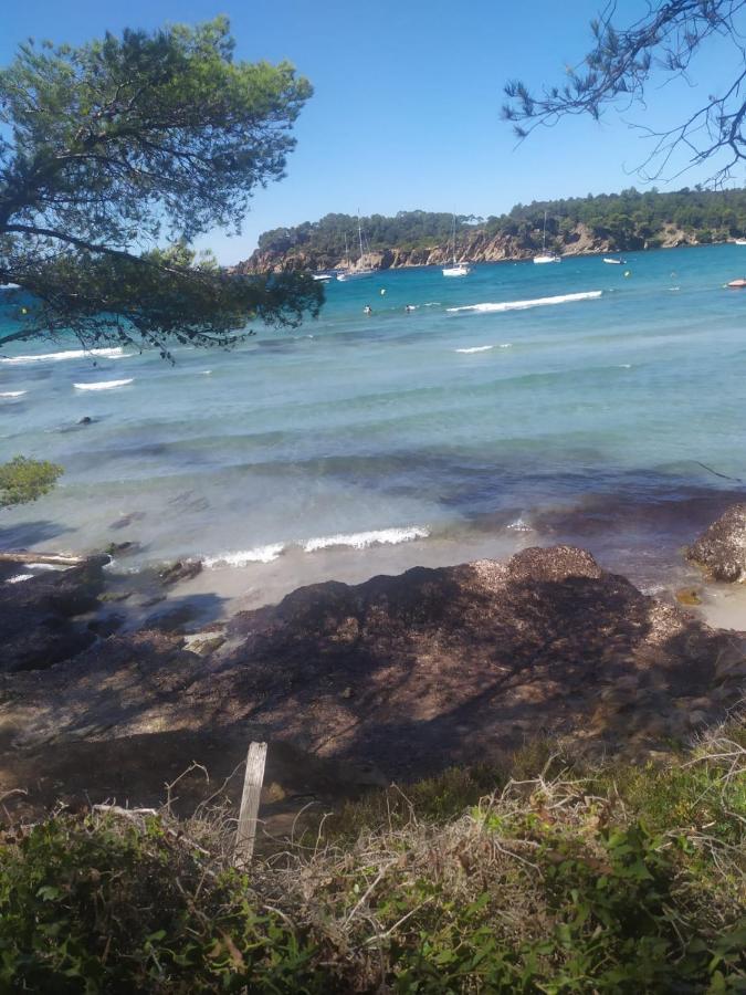 Appartement " Le Grand Bleu " A 3 Min De La Plage La Londe-les-Maures ภายนอก รูปภาพ