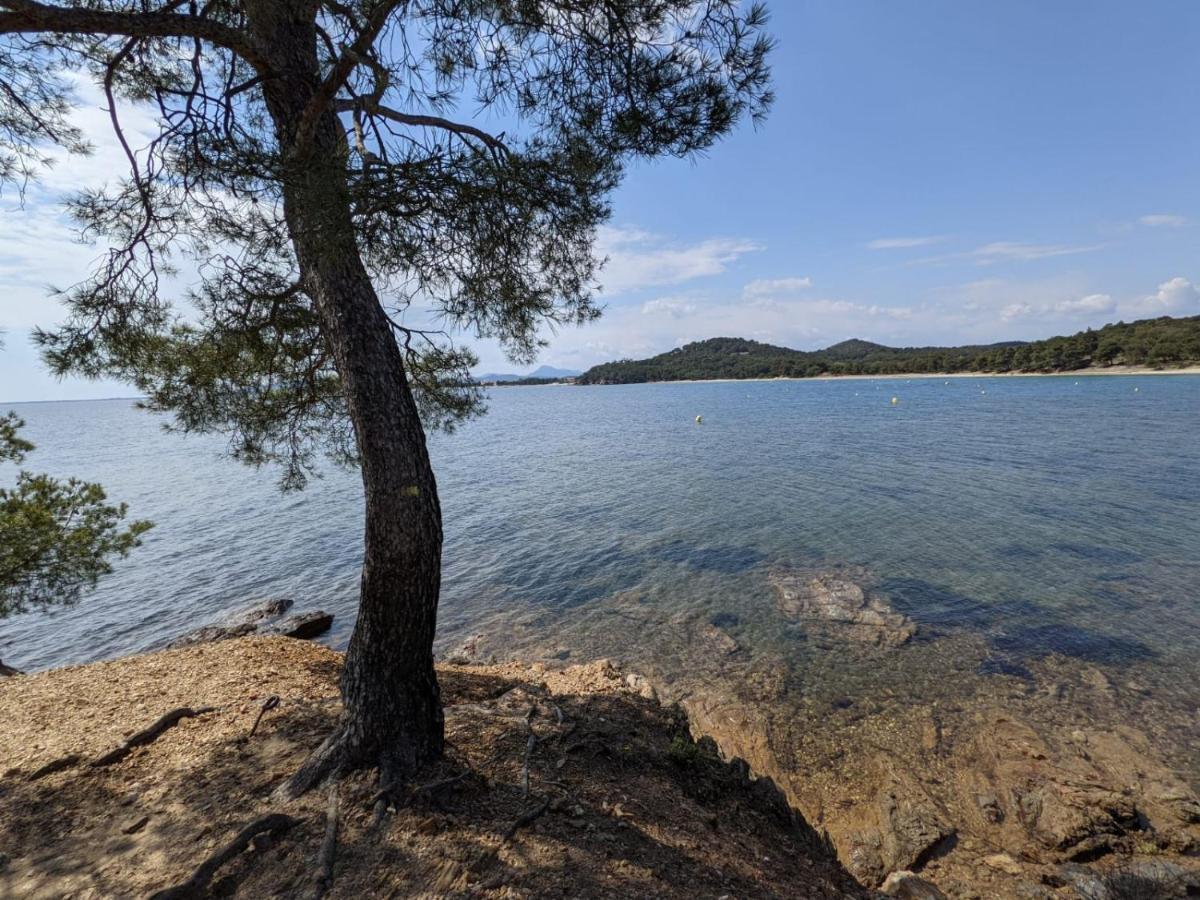 Appartement " Le Grand Bleu " A 3 Min De La Plage La Londe-les-Maures ภายนอก รูปภาพ